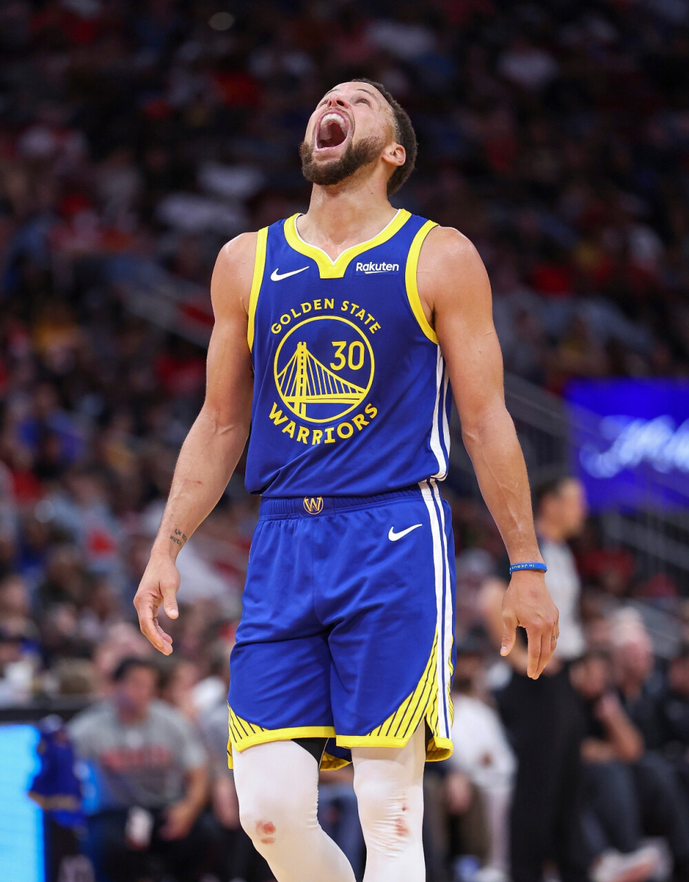 青岛海牛在 青岛海牛在